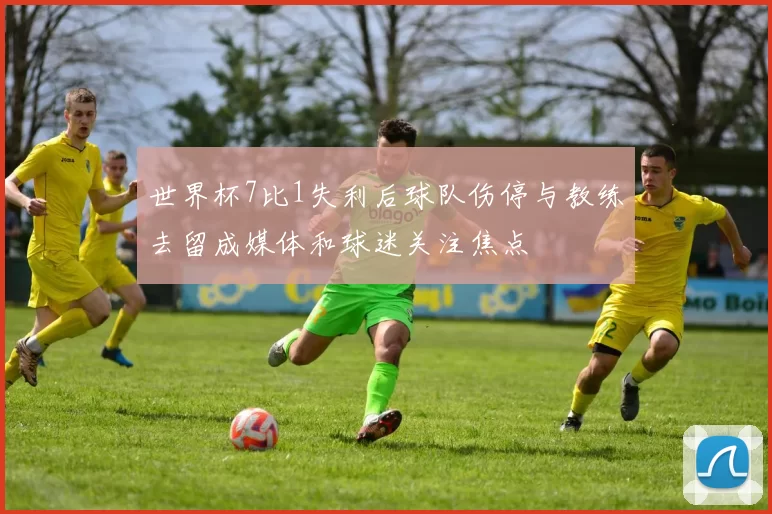 世界杯7比1失利后球队伤停与教练去留成媒体和球迷关注焦点