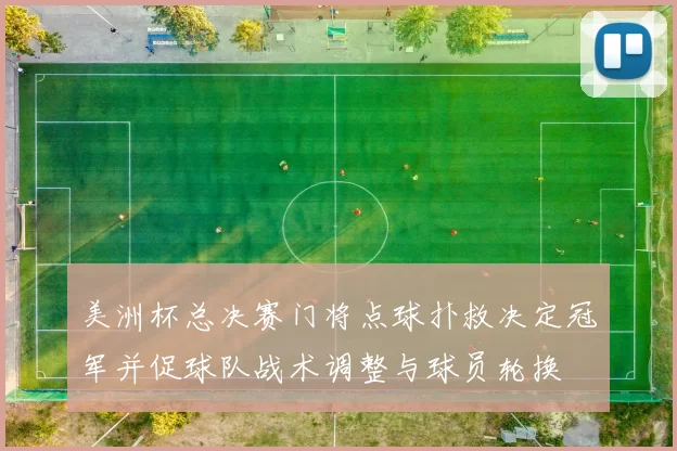 美洲杯总决赛门将点球扑救决定冠军并促球队战术调整与球员轮换